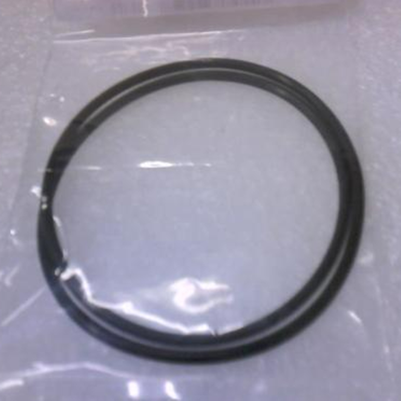 AMAT 3700-01193 O-Ring